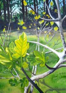 14570302_1343004539044339_898337186325080040_n